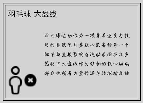 羽毛球 大盘线